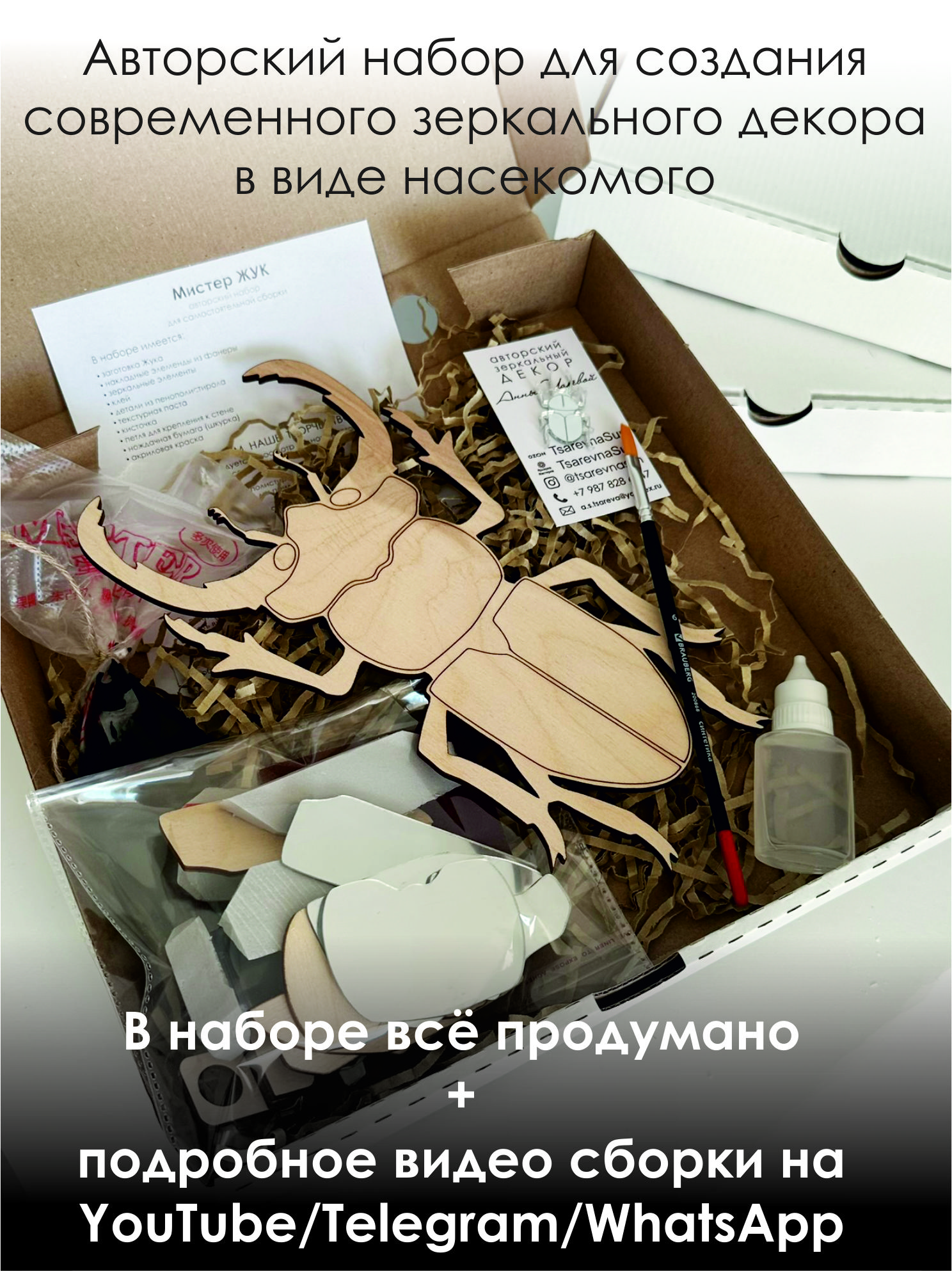 Набор для творчества "Мистер Жук" Рич