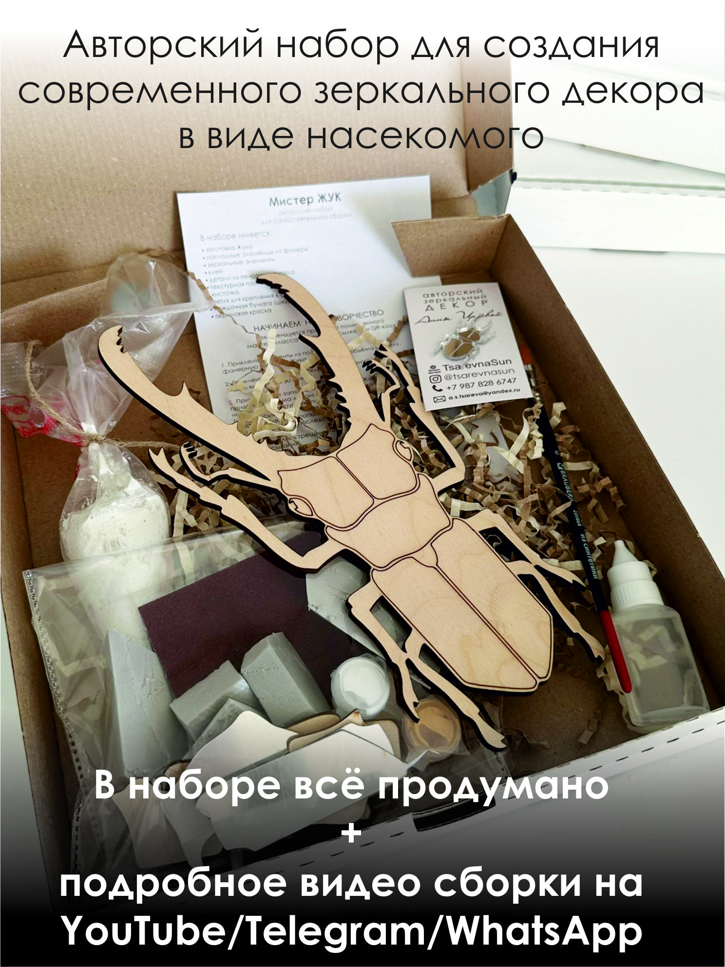 Набор для творчества "Мистер Жук" Рогач