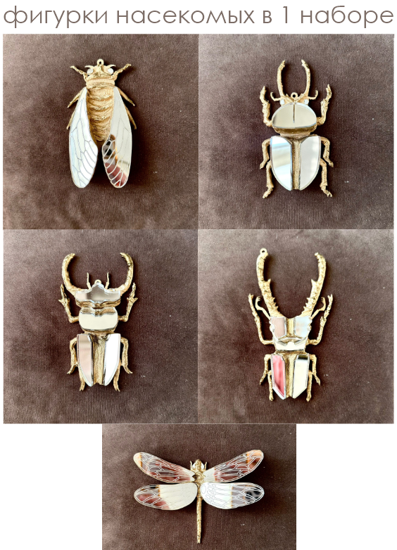 Подарочный набор мини насекомых