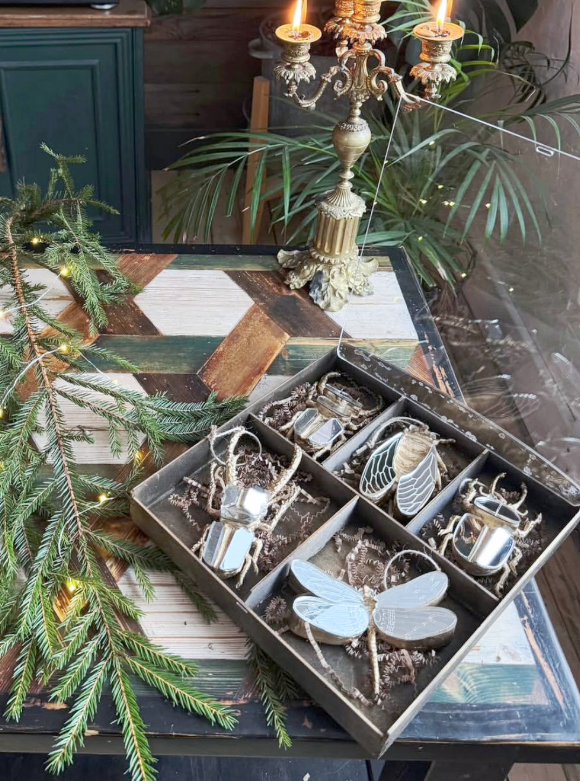 Подарочный набор мини насекомых