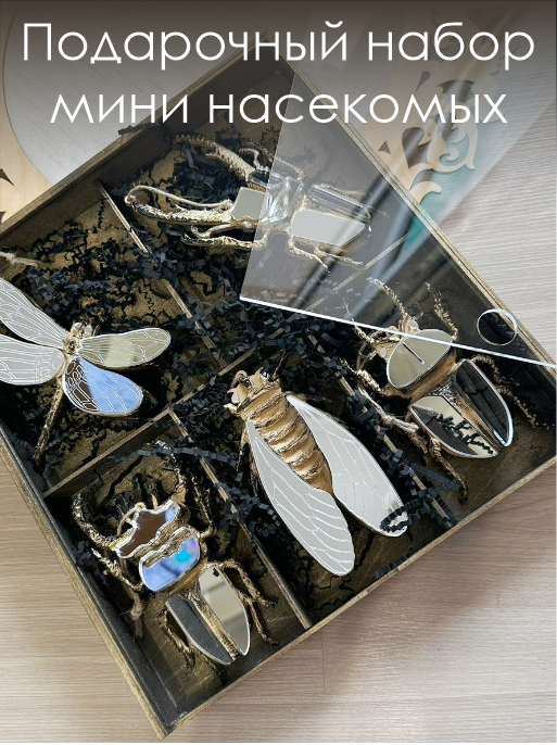 Подарочный набор мини насекомых